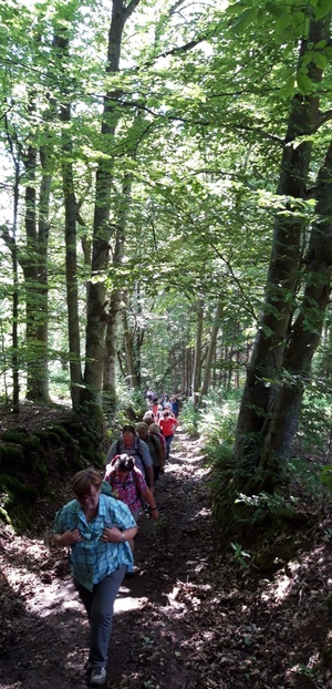 Personen wandern im Wald